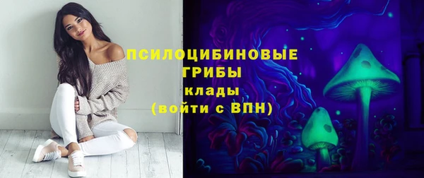 не бодяженный Бородино