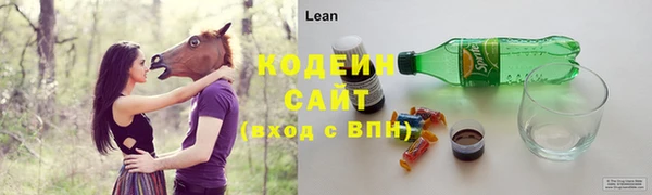 крисы Бугульма