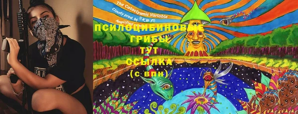 не бодяженный Бородино