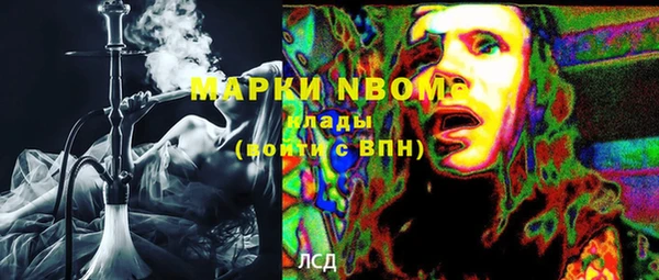 крисы Бугульма