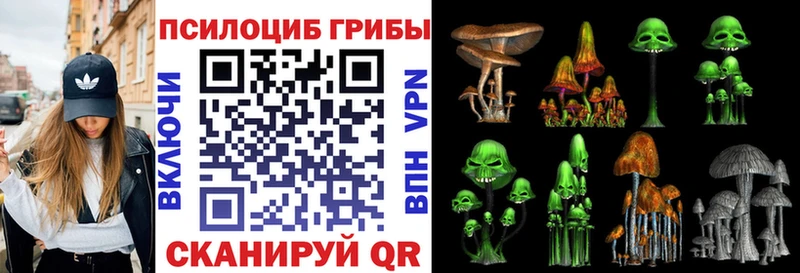 Купить закладки  Шали  Галлюциногенные грибы мицелий 